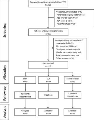 Early Nasojejunal Nutrition Versus Early Oral Feeding in Patients After Pancreaticoduodenectomy: A Randomized Controlled Trial